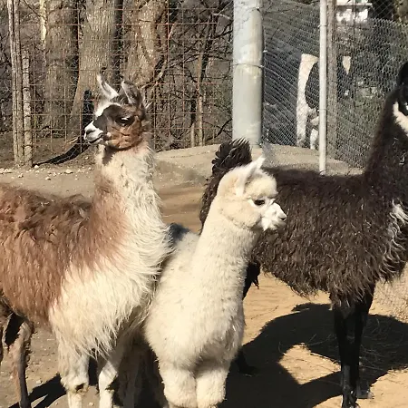 Resort Villapiana 3*