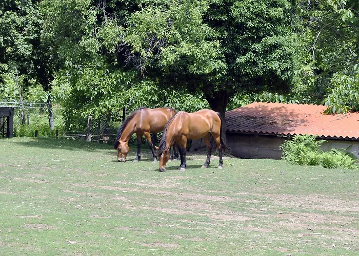 Resort Villapiana 3*